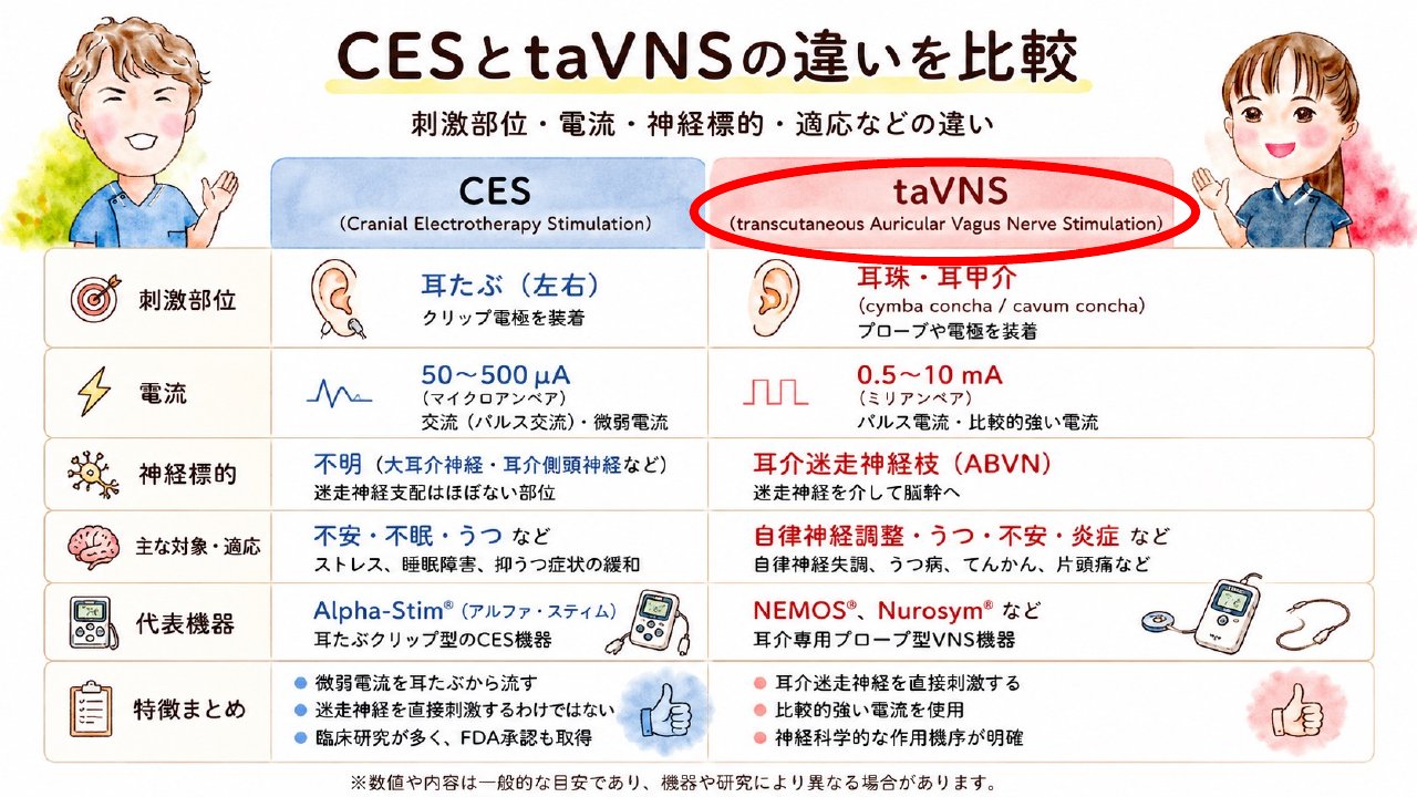 講義スライド抜粋:CESとtaVNSの違い